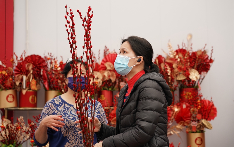 1月23日，市民在香蜜湖四季花谷的迎春購花點選購花卉.jpg